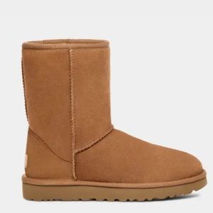 Ugg Classic Short II